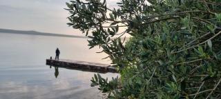 Beachfront House Nella with full privacy - Jasenice - 9