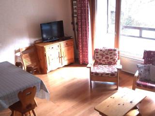 Duplex cozy 3 pièces, proche des pistes avec piscine et parking - FR-1-573-27 - Saint-Jean-d'Aulps - 9