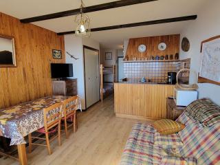 Studio 4 pers - Ski/Randonnées à pied - Balcon Sud - FR-1-393-141 - 2