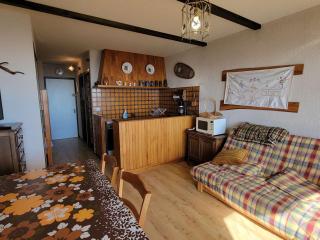 Studio 4 pers - Ski/Randonnées à pied - Balcon Sud - FR-1-393-141 - 0