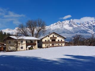 Chalet Schwaiberg - Saalfelden am Steinernen Meer - 5
