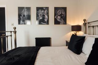 Fun house in the heart of Colchester - Colchester - 4