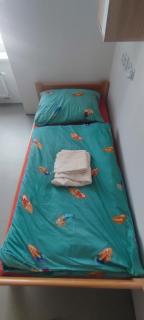 Alfa Apartmán - Husovice - 6