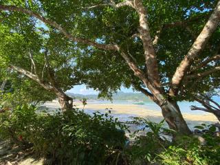 Port Barton - Paradiso Azul Campsite Beachfront with Internet - San Vicente - 1