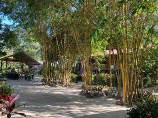 Port Barton - Paradiso Azul Campsite Beachfront with Internet - 2