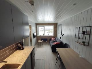 Utleieleilighet 4 sengeplasser Ski inn og ut - Drangedal - 3