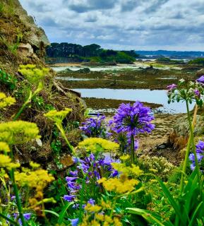 Charmante maison bretonne en pierre - 3