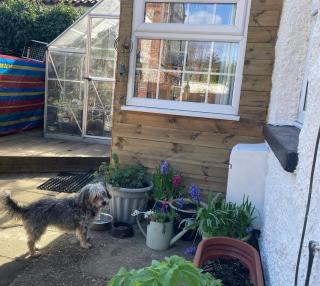 May Rose Cottage - Sigglesthorne - 7