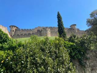Les chemins de la Cité Chambre ou appartement - Carcassonne - 0