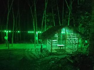 Green nest home stays - Meenangadi - 5