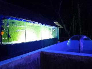 Green nest home stays - Meenangadi - 4