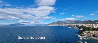 La Perla Apartment - Sant'Agnello - 9