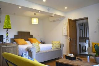 Manoir Drissia - Tours Centre, France - Saint-Avertin - 9