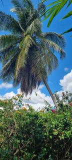 Bungalow Atoll avec piscine - Sainte-Anne - 1