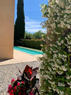 la grande villa - Aix-en-Provence - 4