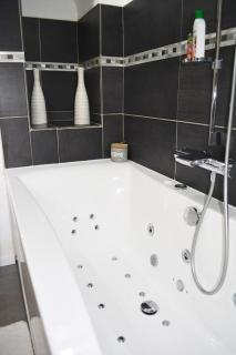 Manoir Drissia - Tours Centre, France - Saint-Avertin - 6