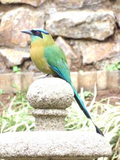 Villa Magallanes - 1