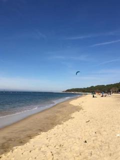 Appartement 2 chambres avec jardinet privatif - 200m de la plage Pereire - Arcachon - 3