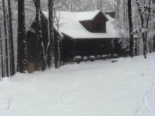 DeerWoodsLodge DOT com-Ellijay Coosawattee River-Sleeps 16-ARCADE-Hot Tub-Fire Pit-Winery's - 8