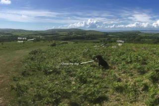 Hidden Cottage Gem HotTub, Firepit, coastal walks - Swansea - 4