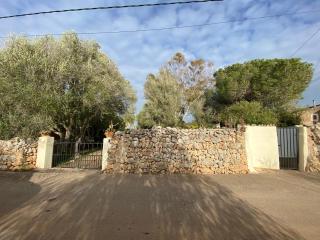 Finca Casa Farah - Ses Salines - 9