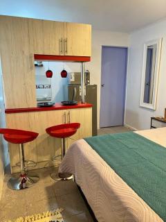 Apartamento full providencia - Santiago - 5