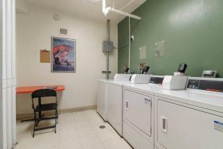 2BR Sunny Apartment in Hyde Park - Windermere 211 - Chicago - 3