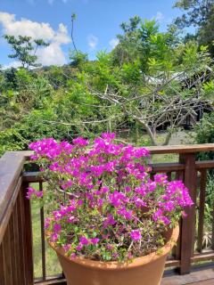 Memwa Villas - Castries - 4