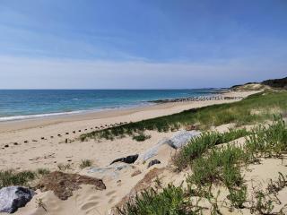 Joyau au cœur de la forêt - La Guérinière - 7