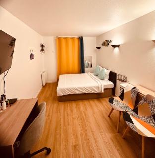 Ryan Homes Studio - in Aparthotel, La Défense - Courbevoie - 4