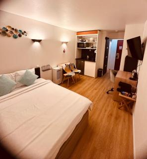 Ryan Homes Studio - in Aparthotel, La Défense - Courbevoie - 6