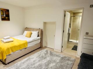 Central Cosy Studio Apartments - London - 5