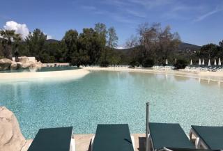 One Palm - Grimaud - 1