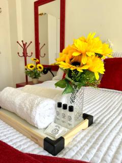 Apartamento quadra da praia Av Nsa Sra C 1137 ap1204 - Rio de Janeiro - 1