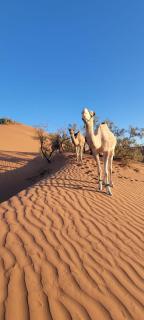 Adventure dans le desert - Tagounite - 2