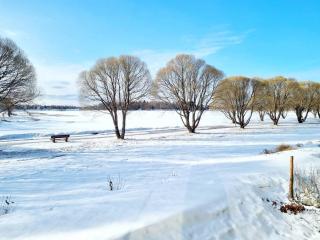 Villa Kaisla - Raahe - 7