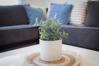 Apartman Harmony - 3