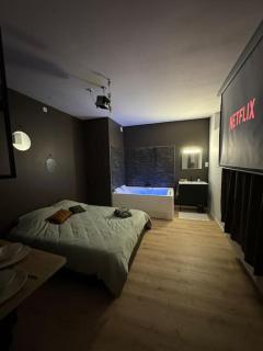 Appart Spa hypercentre - Lille - 3
