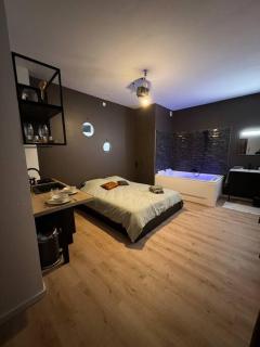 Appart Spa hypercentre - Lille - 2