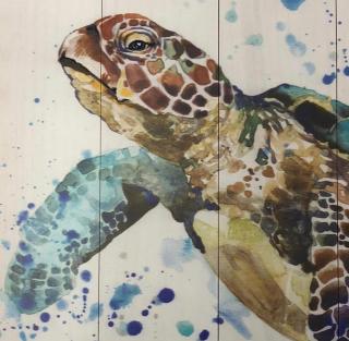 Apartment Caretta - 8