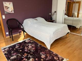 Bonis 2,5 Zimmer Ferienwohnung - Eschenz - 6