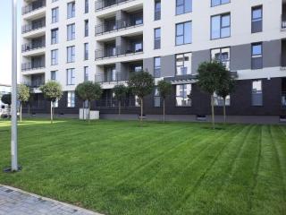 Apartament Storyland - Brasov - 8