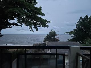 Immersion Nature - 8