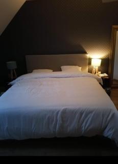 Maison contemporaine 230m2 Pegasus - Bénouville - 2