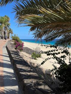 Casa Reina - Playa Jandia - 3