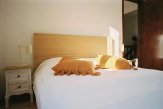 Casa das Termas - Cabeço de Vide - Cabeço de Vide - 4