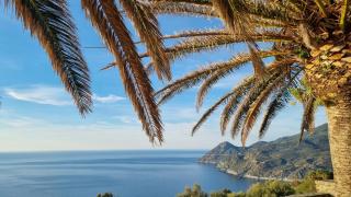 LOCATION CORSE - Canari - 9