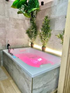 Spa - Sauna privatif plein centre - Troyes - 5