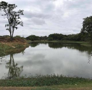 CHÁCARA MELINDA - SOROCABA-SP - 7