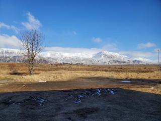 Víðines Guesthouse - Reikiavik - 5